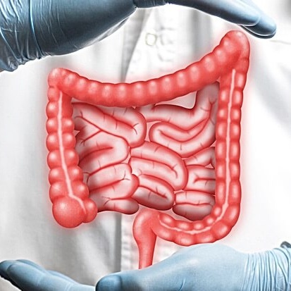 Gastroenterologie
