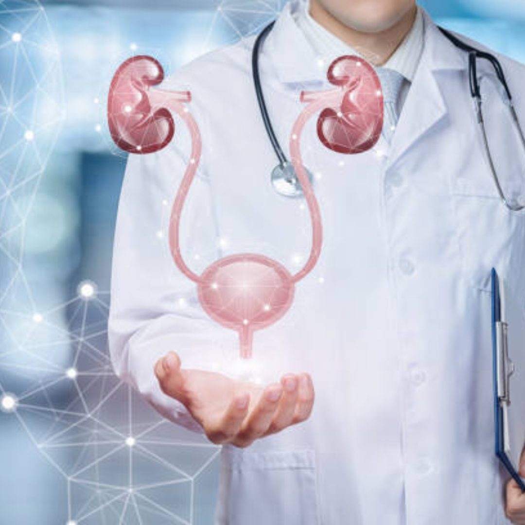 Urologie